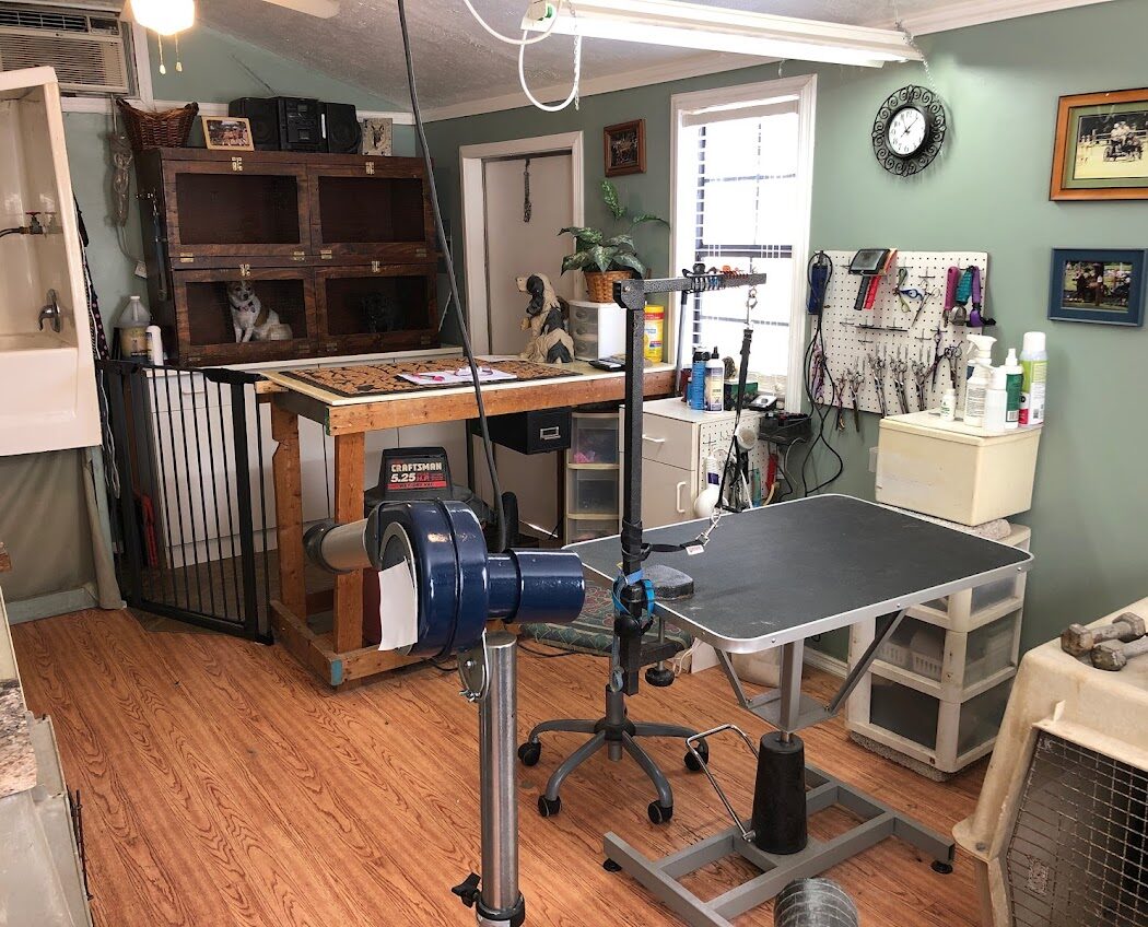 Inside Duffy's grooming shed with hydraulic grooming table, dryer, and tools