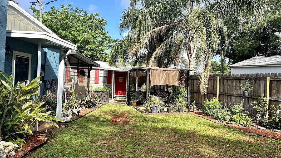 Backyard view of Duffy's grooming shed with palms and seating